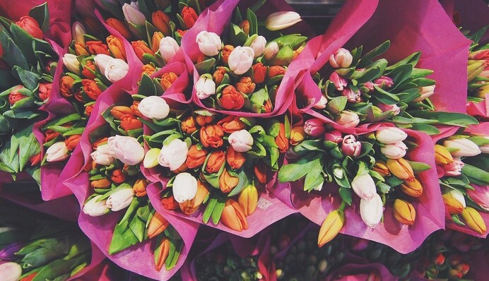 Как выбрать свежие тюльпаны на 8 марта и распознать цветы, которые быстро завянут