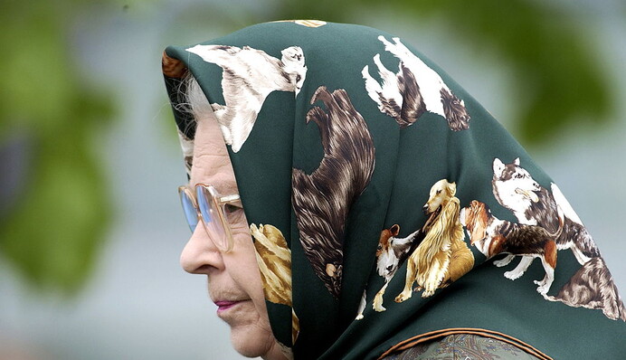 После госпитализации принца Филиппа королева Елизавета II завела новых корги