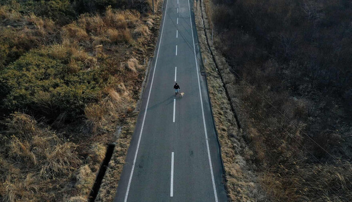 Мужчина заботится о кошках в заброшенной Фукусиме - ради них он остался в зараженной зоне