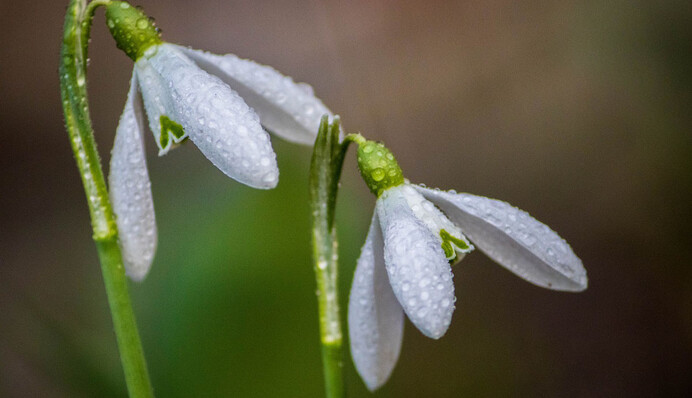 Небо підготувало жінкам свій подарунок: якою буде погода у святкові вихідні