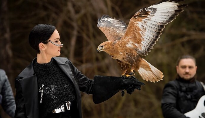 Організатори 