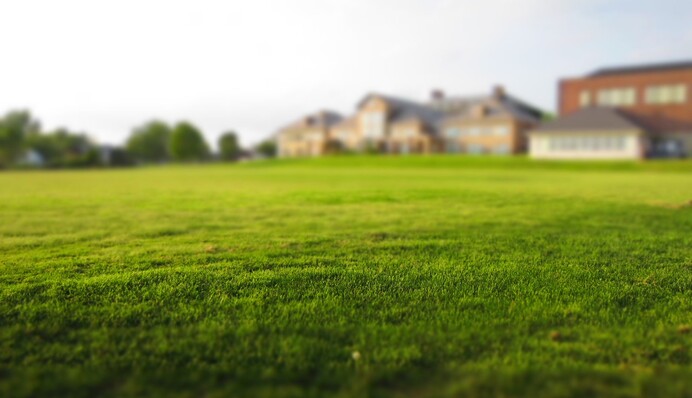 Чоловік вирішив заощадити на газоні і довів дружину до істерики - він постелив у дворі килим