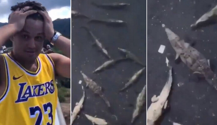 Хлопець вкрай 