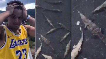 Хлопець вкрай 