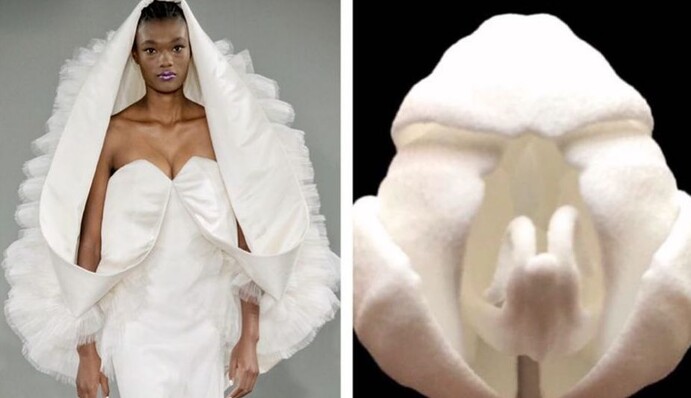 14 фото, які доведуть - фешн-дизайнери і правда часто надихаються природою