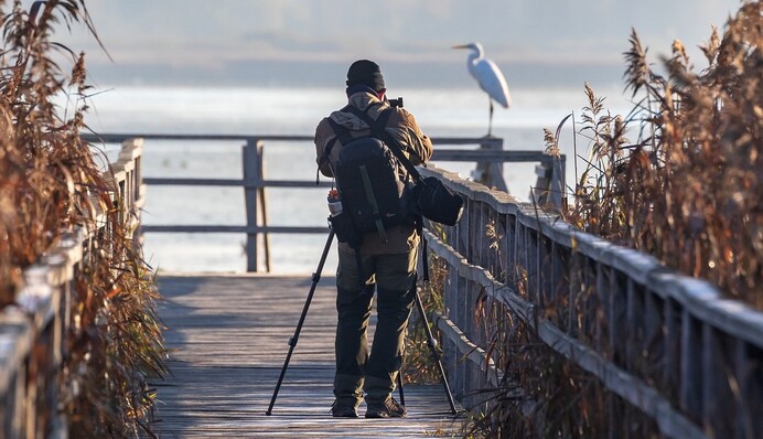 Сколько лягушек на фото? Попробуйте ответить загадку фотографа-натуралиста