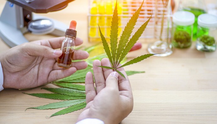 Медичний канабіс ціною 30 пенсій: хто просуває таку 