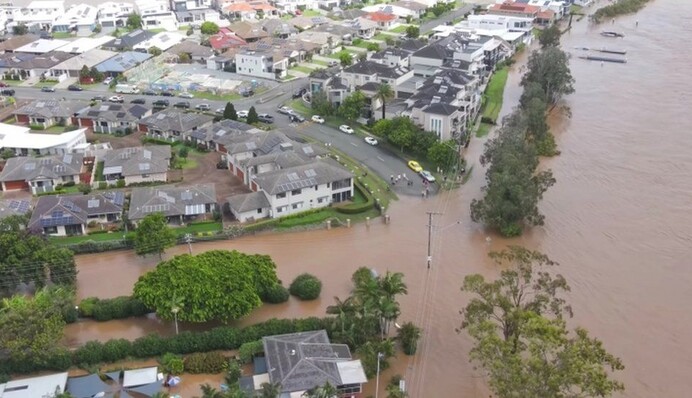 Из-за наводнения в Австралии дома людей штурмуют тысячи пауков - таких соседей не хочет никто