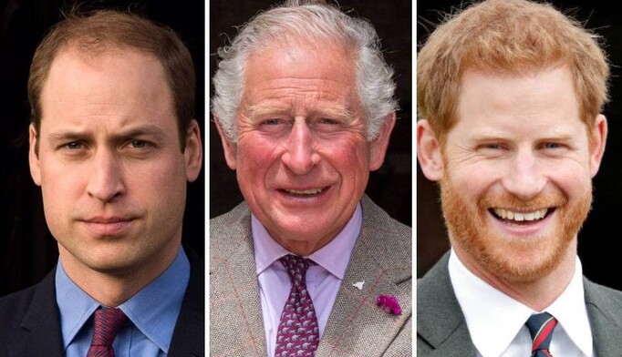 Кого британцы хотят видеть своим королем после правления Елизаветы II: Mirror публикует результаты соцопроса