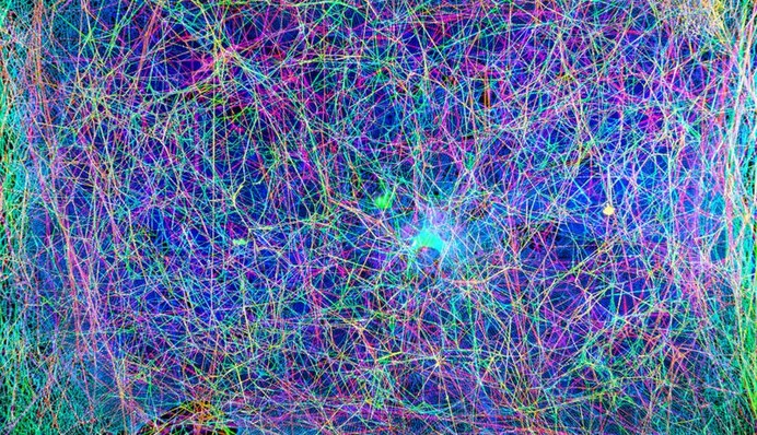 Вчені перетворили павутину в музику і отримали моторошний саундтрек: відео