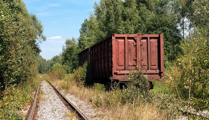 Не только Путин: как 