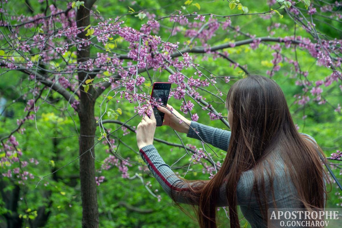 ​Найкращі парки у Києві: де можна погуляти родиною на травневі