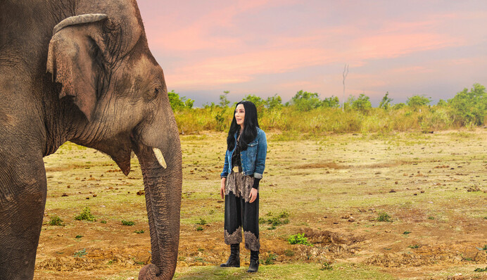 Певица Шер спасла 