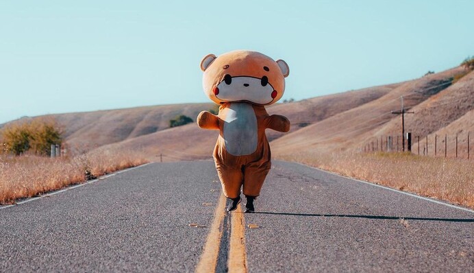Мужчина в костюме медведя прошел более 770 километров ради благотворительности - весь путь занял у него 9 дней