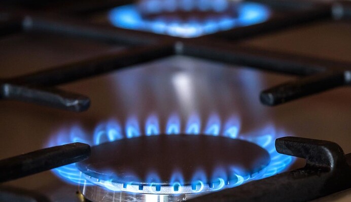 Ціни на газ не змінювати­муться цілий рік, але є нюанси