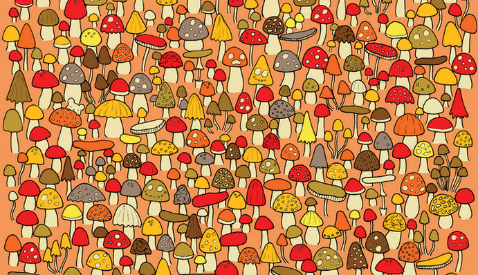 Думаете вам нет равных в картинках на внимательность? Отыщите мышь в грибах за 30 секунд