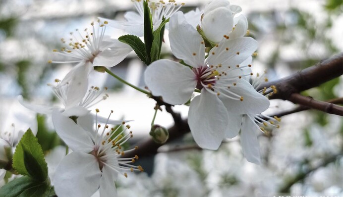 Погода на травневі: на Великдень буде тепло, але не довго