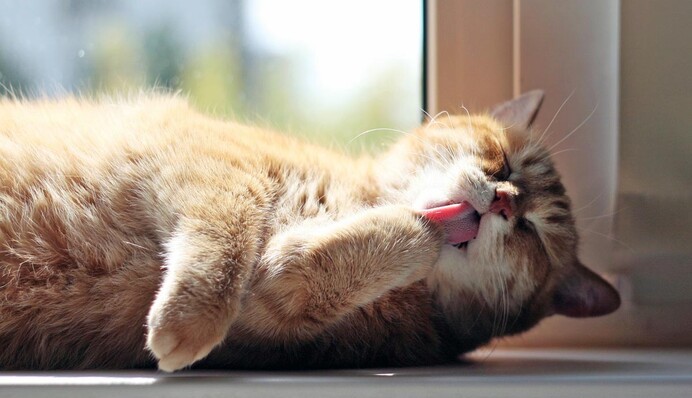 В Украину врывается летняя жара, но с сюрпризом: синоптики дали прогноз на неделю