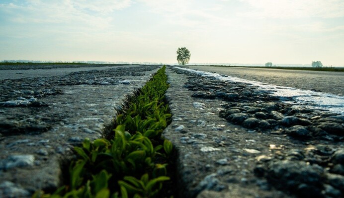 Активист решил добиться ремонта дорог, рисуя непристойности вокруг ям - теперь ему грозит суд