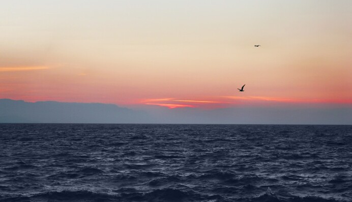 Студентів на саморобному човні з відер і тазів віднесло в океан - гіршого судна не знайти