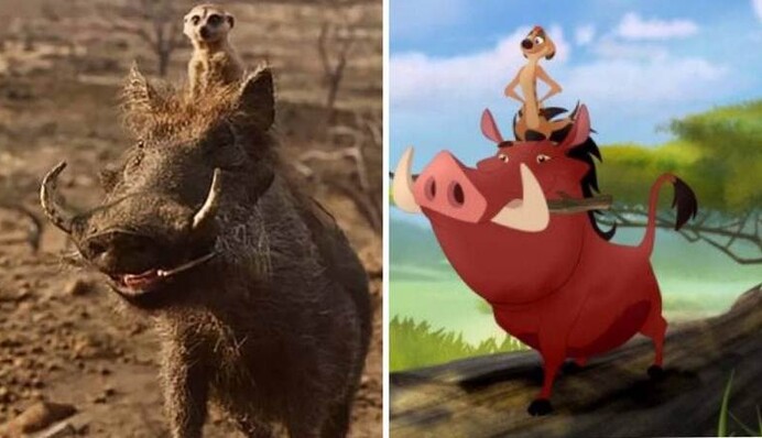 В Ботсване нашли настоящих Тимона и Пумбу. Без шуток, мангуст постоянно катается на спине приятеля: видео