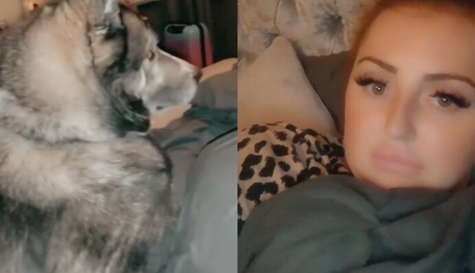 Дівчина прокинулася після п'яної ночі та прийшла в жах, побачивши, хто лежить з нею в ліжку