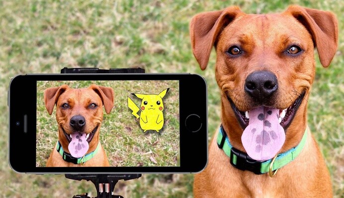 Школьник продал коллекцию карт Pokemon ради собаки - их создатели не смогли пройти мимо его истории