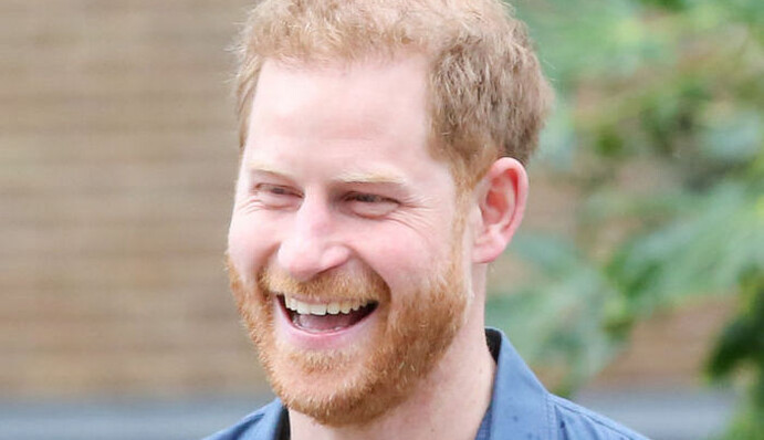 Маленька дівчинка переплутала свого тата з принцом Гаррі, і ви зрозумієте чому: кумедне відео