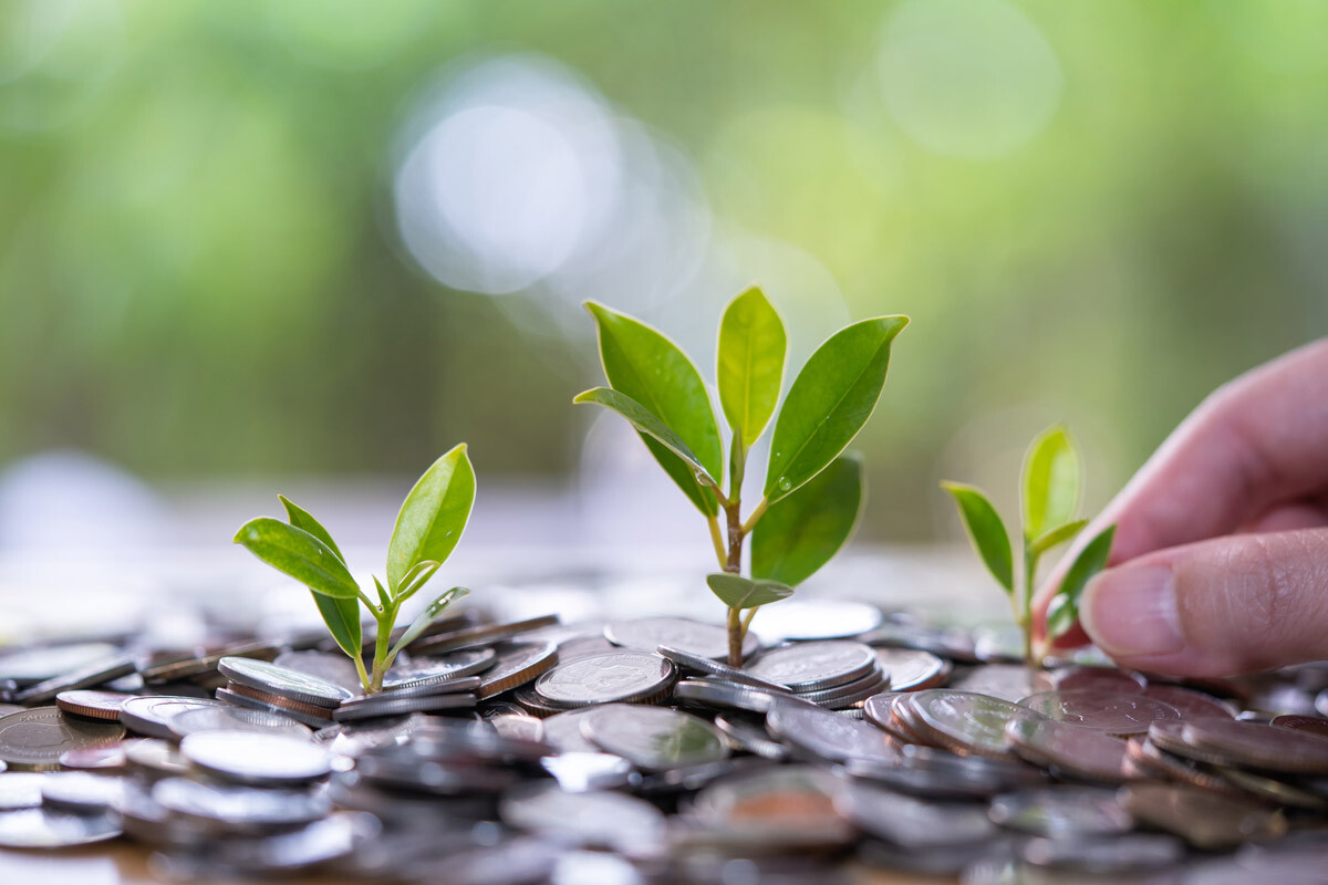 Кліматична криза і бізнес-сектор: хто кого зупинить