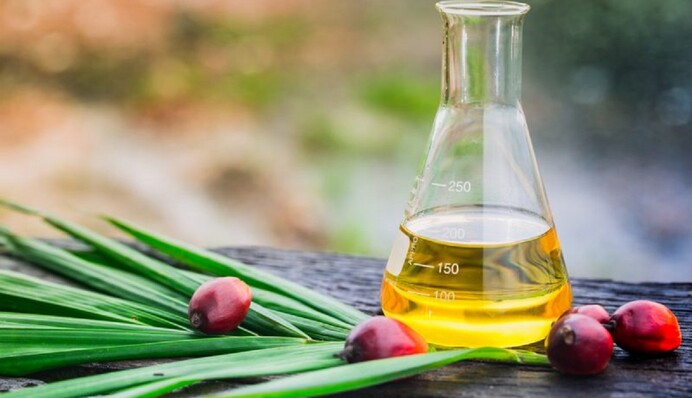 Как узнать, содержат ли продукты пальмовое масло: полезные советы