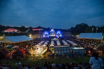 Leopolis Jazz Fest запрошує гостей у пікнікові зони