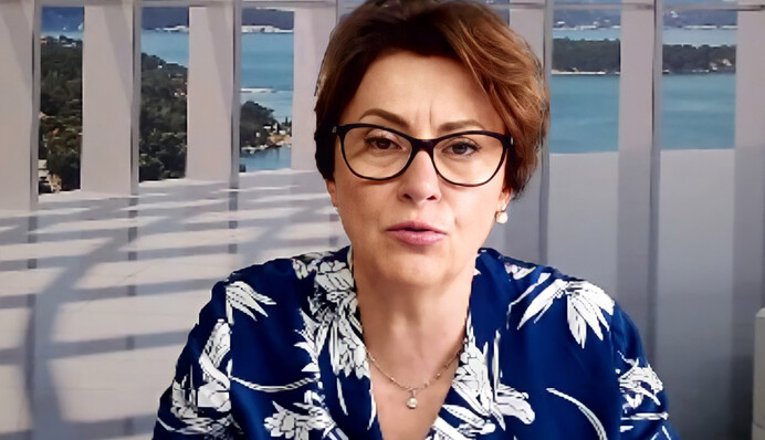 Амнистия капиталов имеет смысл только в одном случае, но власть на это не пошла - Нина Южанина