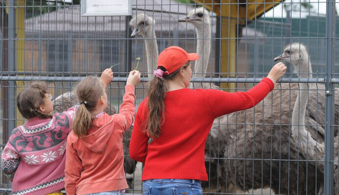 Погладить страуса, покормить льва и искупаться в каньоне: куда отправится из Киева на выходные