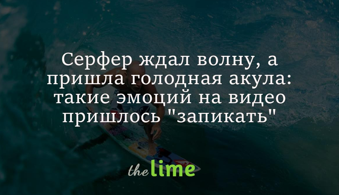 Серфер ждал волну, а пришла голодная акула: большую часть эмоций на видео пришлось 