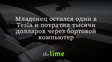 Младенец остался один в Tesla и потратил тысячи долларов через бортовой компьютер