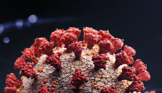 Коронавирус 