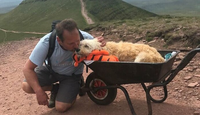 Господар влаштував своїй собаці, яка помирає, останню подорож в гори: зворушливі фото