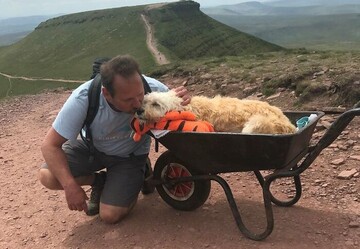 Хозяин устроил своей умирающей собаке последнее путешествие в горы: трогательные фото
