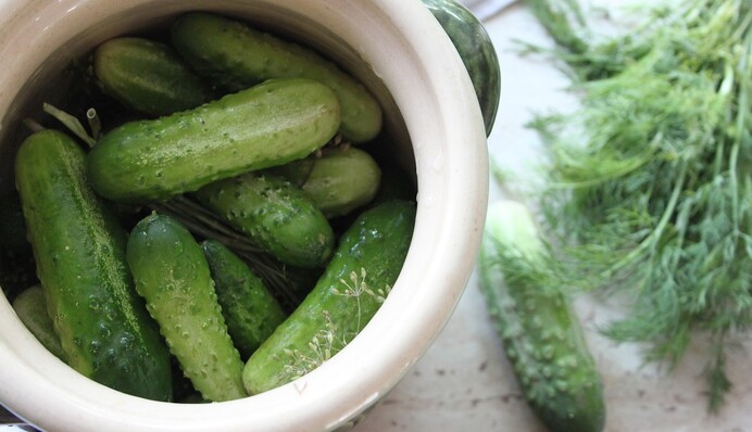 Как закрыть хрустящие огурцы на зиму без стерилизации: подробный рецепт