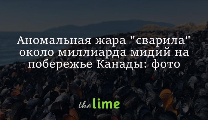 Аномальная жара 