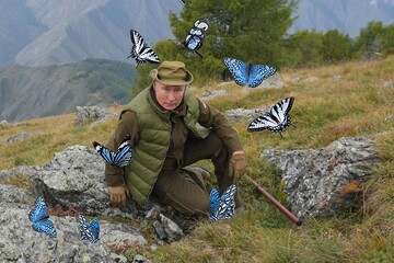 Статья Путина про Украину? Ему надо писать про бабочек - Леонид Гозман