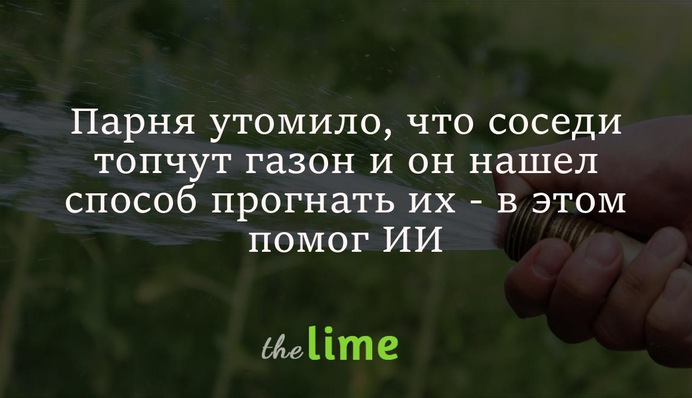 Парня утомило, что соседи топчут газон и он нашел способ прогнать их - в этом помог искусственный интеллект