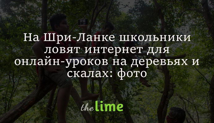 На Шрі-Ланці школярі ловлять інтернет для онлайн-уроків на деревах і скелях: фото