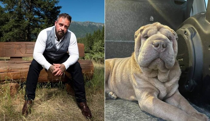 Хозяин нашел похитительницу своего пса, но вместо наказания помог ей изменить жизнь