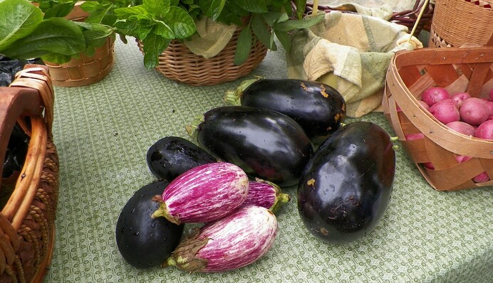 Как заморозить баклажаны на зиму и сохранить вкус: простые рецепты