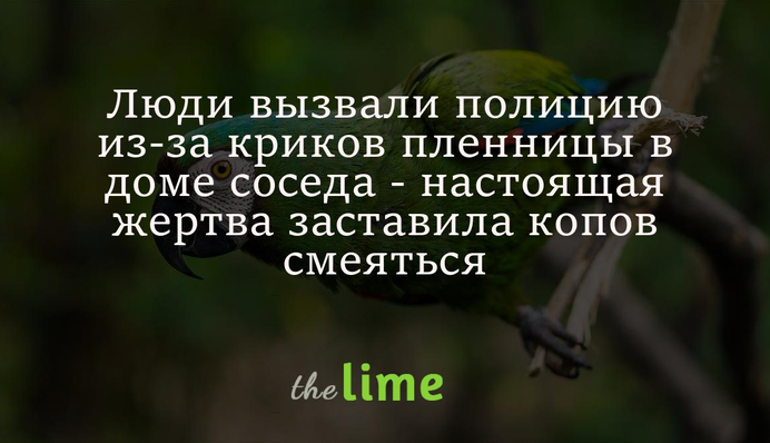 Люди викликали поліцію через крики полонянки в домі сусіда - справжня жертва змусила копів сміятися