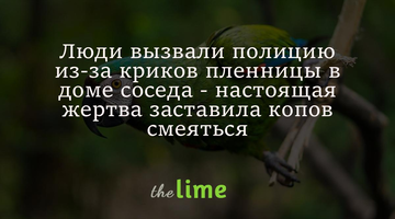 Люди вызвали полицию из-за криков пленницы в доме соседа - настоящая жертва заставила копов смеяться