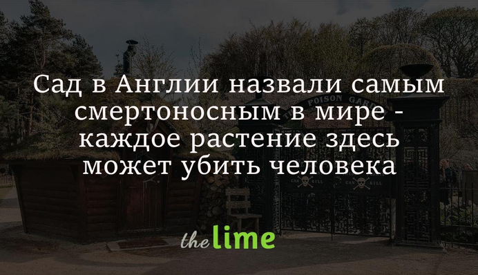 Сад в Англии назвали самым смертоносным в мире - каждое растение здесь может убить человека
