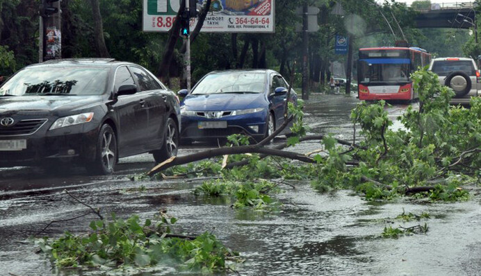 Зміни клімату: скоро постане питання про виживання людства