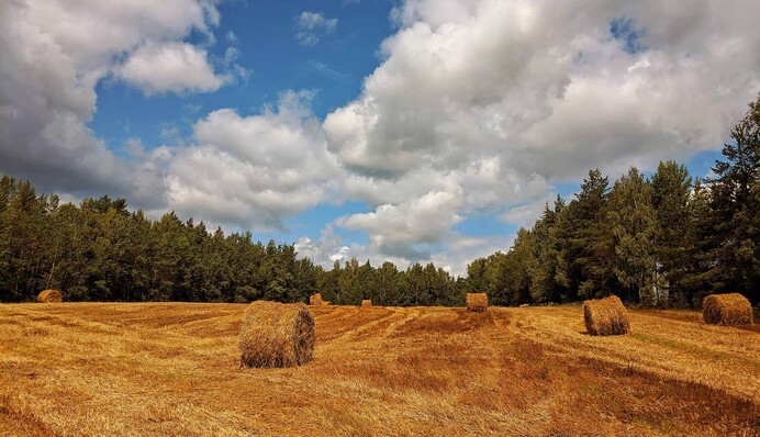 На Україну чекає чергова атака спеки: синоптики назвали дати пекельної погоди